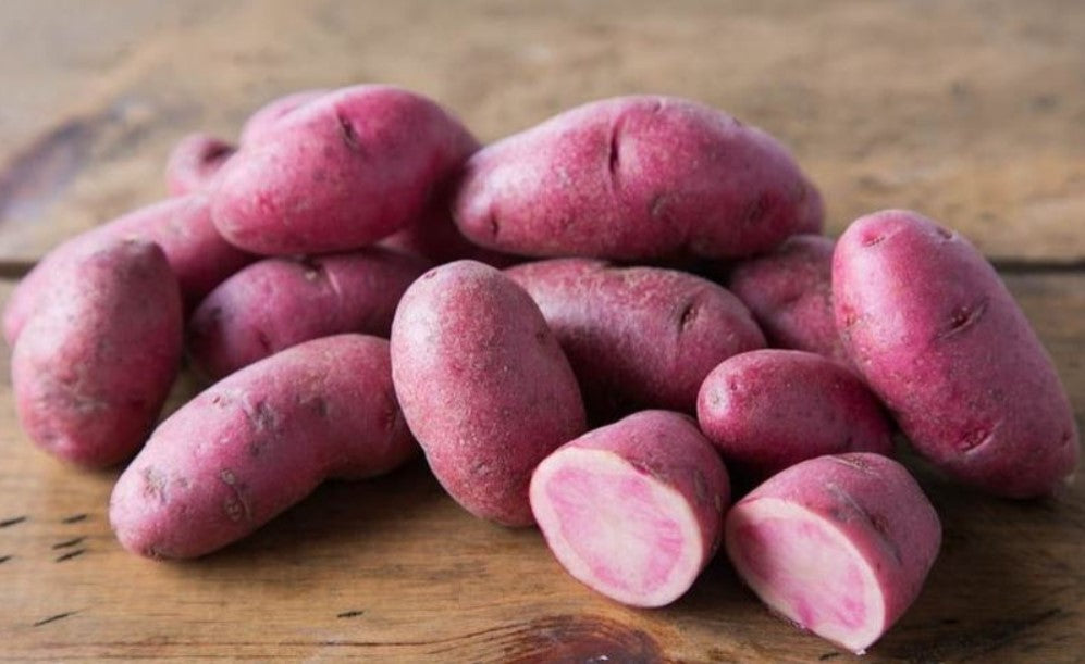 Seed Potatoes - Red White & Blue Mix OG - Garden Outside The Box