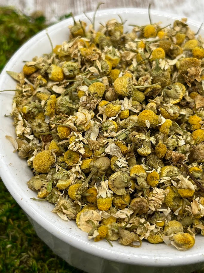 German Chamomile Dried Herb