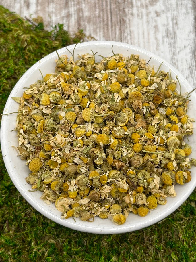 German Chamomile Dried Herb