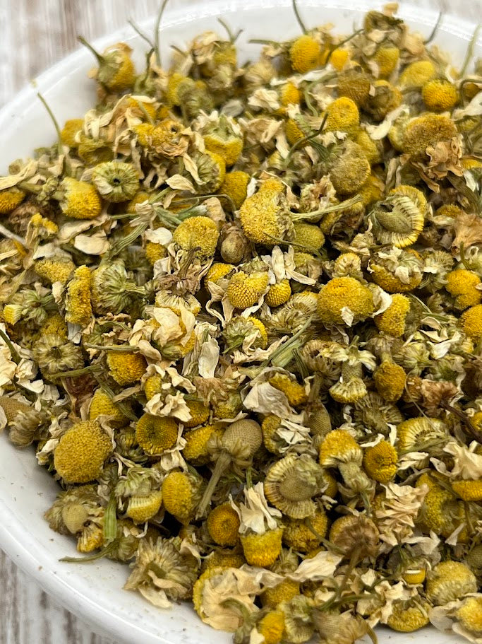 German Chamomile Dried Herb