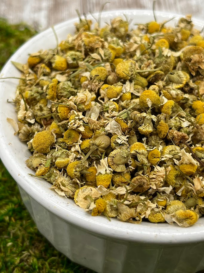 German Chamomile Dried Herb