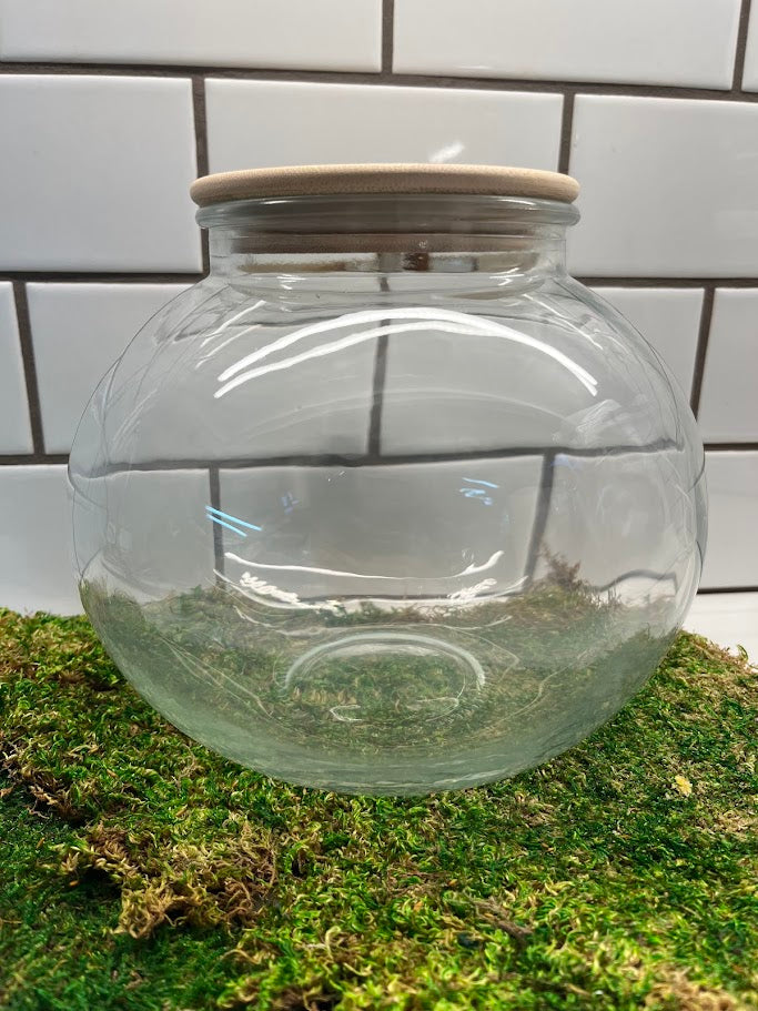 Terrarium - LED Light Round Shape