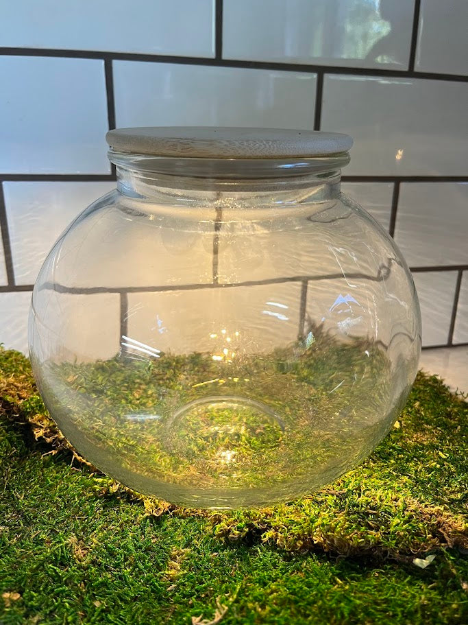 Terrarium - LED Light Round Shape