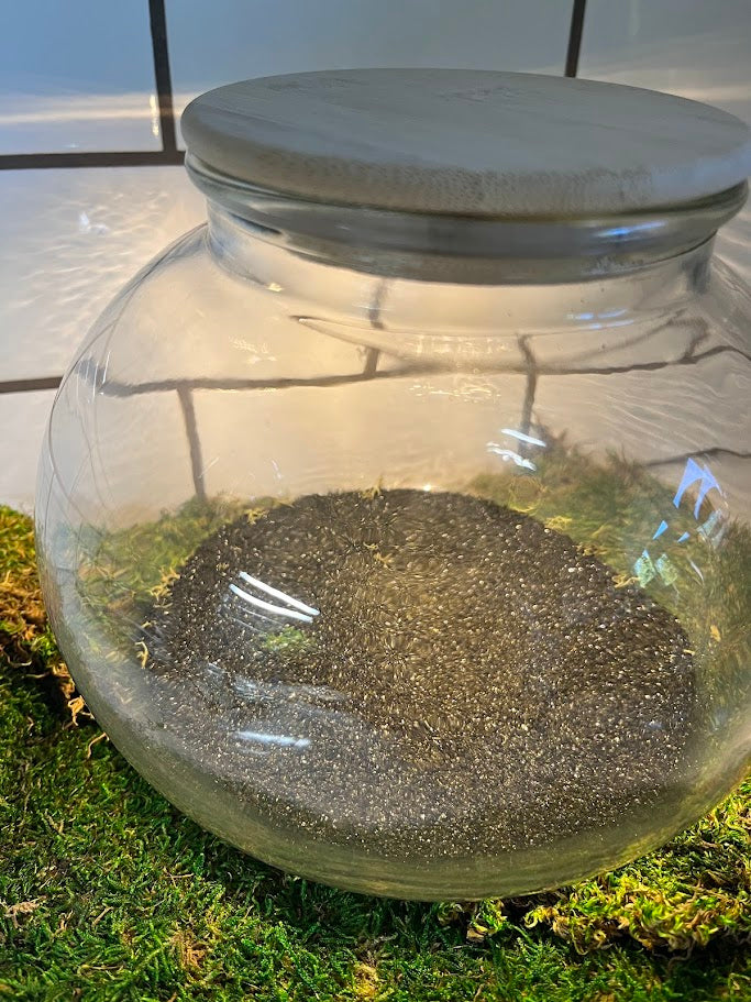 Terrarium - LED Light Round Shape