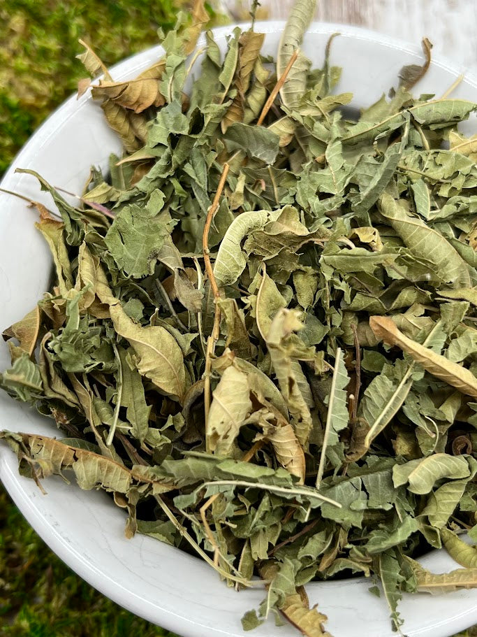 Lemon Verbena Dried Herb - Organic