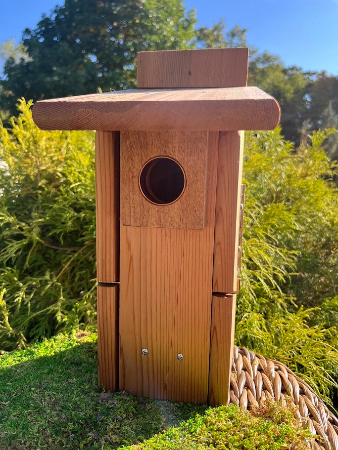 Birdhouse "Marigold" - Wood Nesting Box - Sneak-A-Peek Window