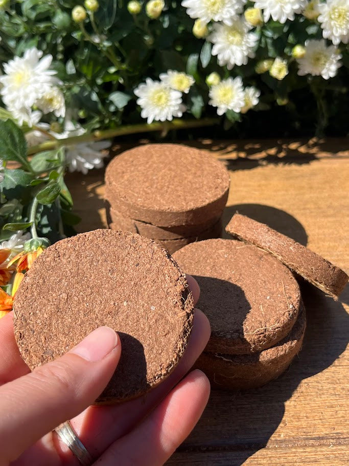 Coconut Coir - 10 Disks Small