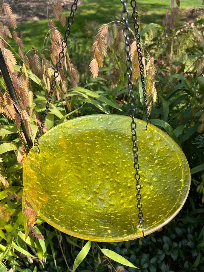 Platform Feeder - Glass Plates - COLORS!