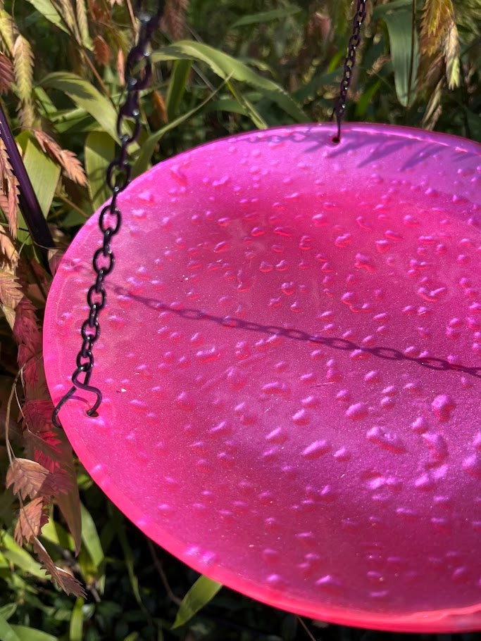 Platform Feeder - Glass Plates - COLORS!