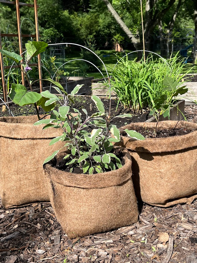 Plastic Free Fabric Hemp Planters