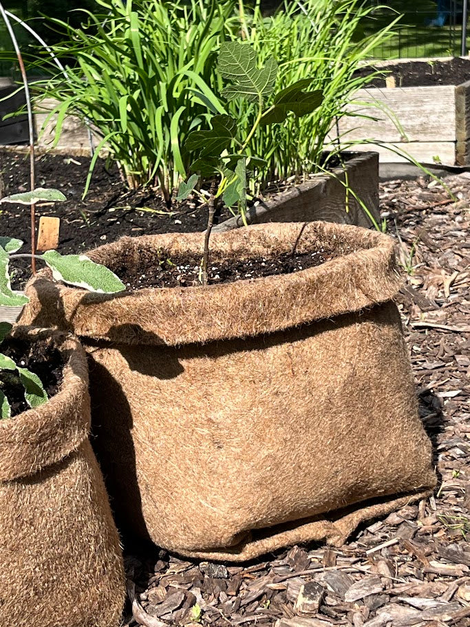 Plastic Free Fabric Hemp Planters