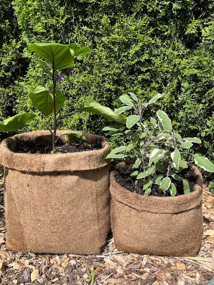 Plastic Free Fabric Hemp Planters