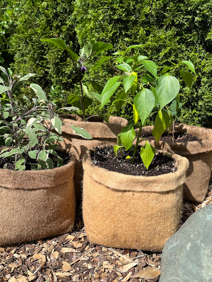 Plastic Free Fabric Hemp Planters