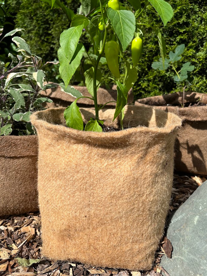 Plastic Free Fabric Hemp Planters