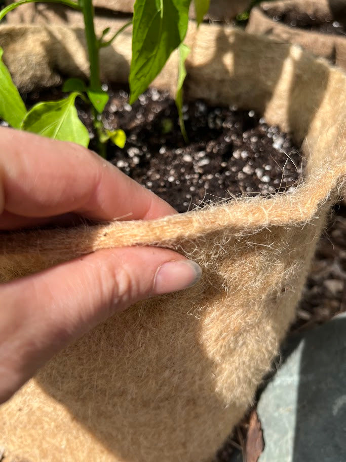 Plastic Free Fabric Hemp Planters