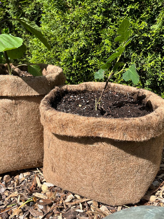 Plastic Free Fabric Hemp Planters