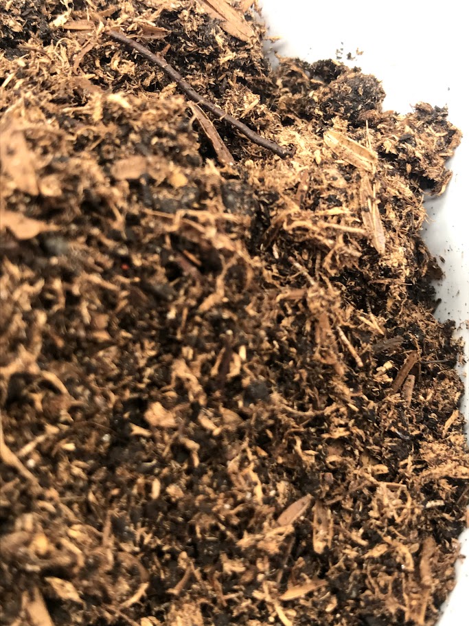 Terrarium Soil