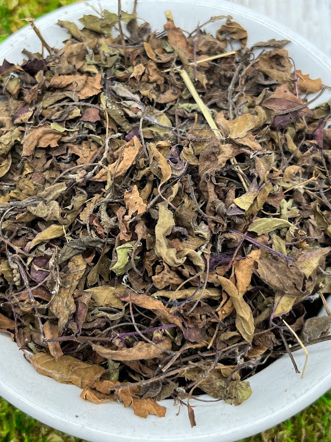 Tulsi Holy Basil Dried Herb - Organic