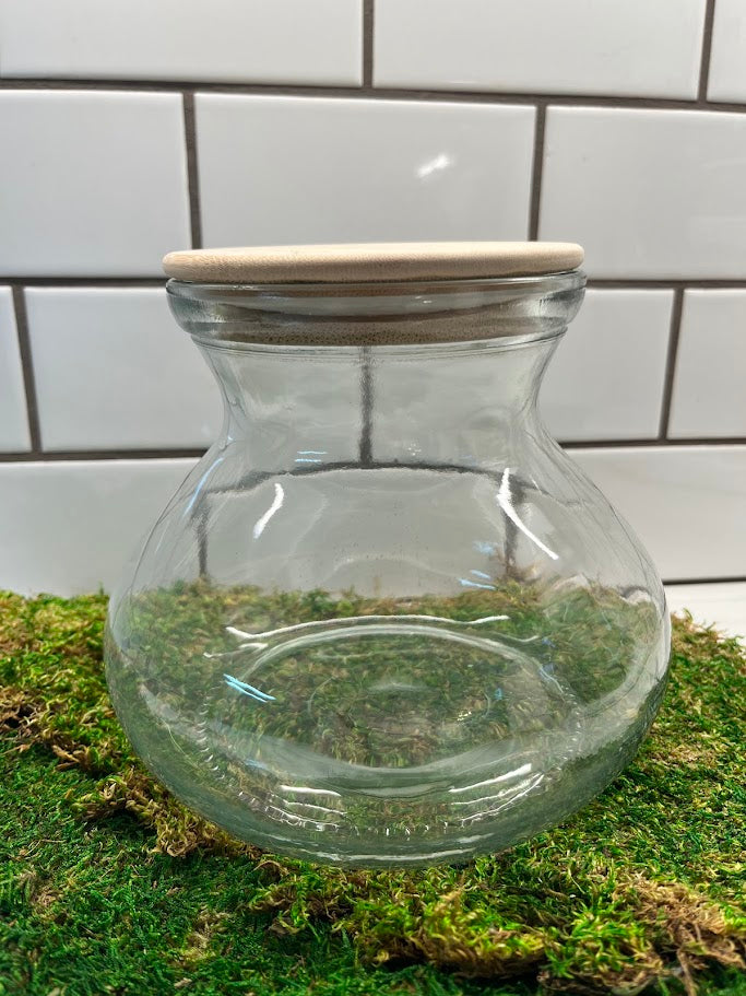 Terrarium - LED Light Vase Shape