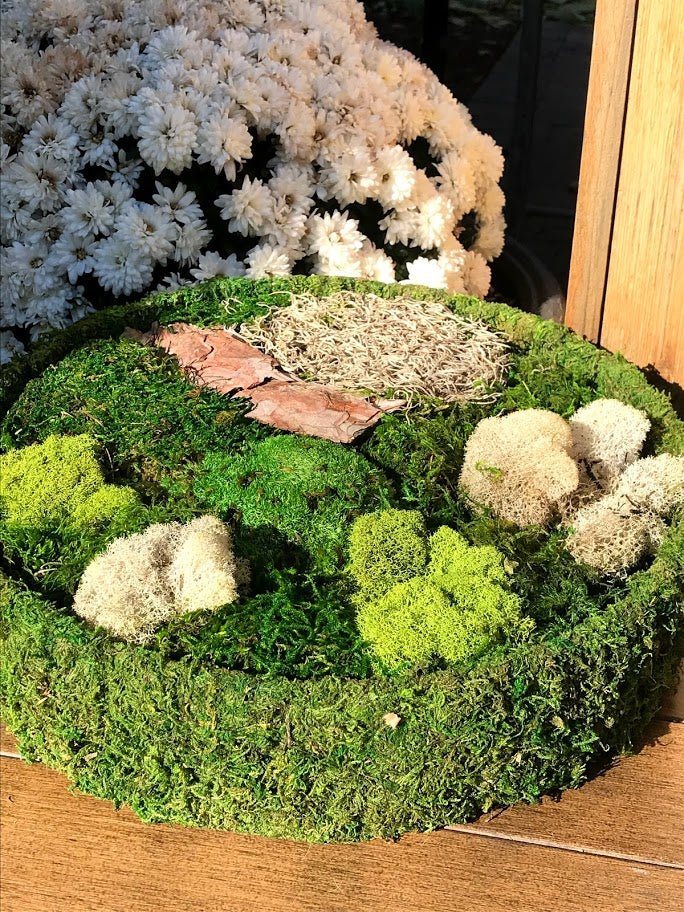Neptten Preserved Moss, Moss for Fairy Garden, You can use Our Moss as  Decor Anywhere! The