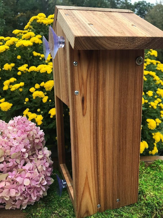 Wooden Birdhouse for Window Viewing