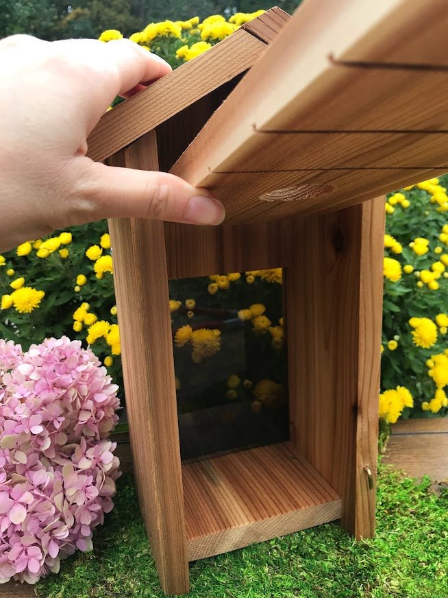 Wooden Birdhouse for Window Viewing