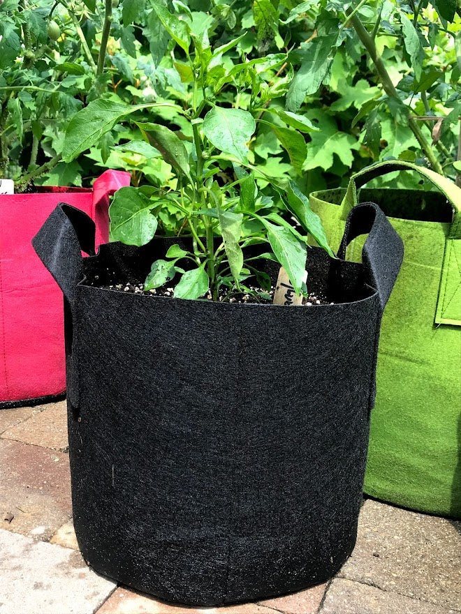 OEM Garden Bag Plant Pot for Grow Vegetables, Plant Bags Fabric