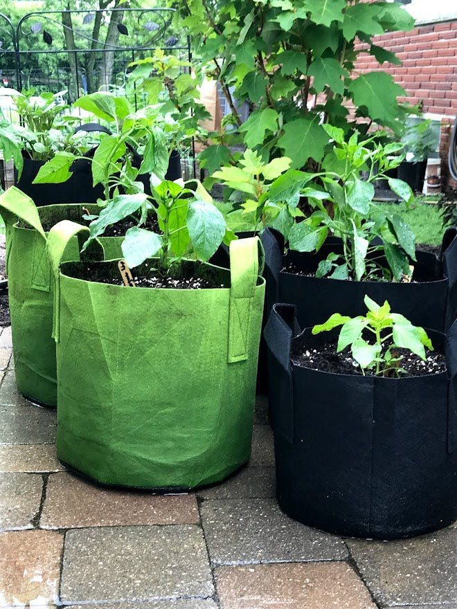 OEM Garden Bag Plant Pot for Grow Vegetables, Plant Bags Fabric