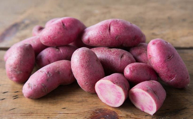 Fingerling Seed Potatoes - AmaRosa - Garden Outside The Box